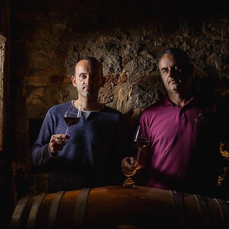 Wine Resort Colsereno Montalcino Bagian luar foto