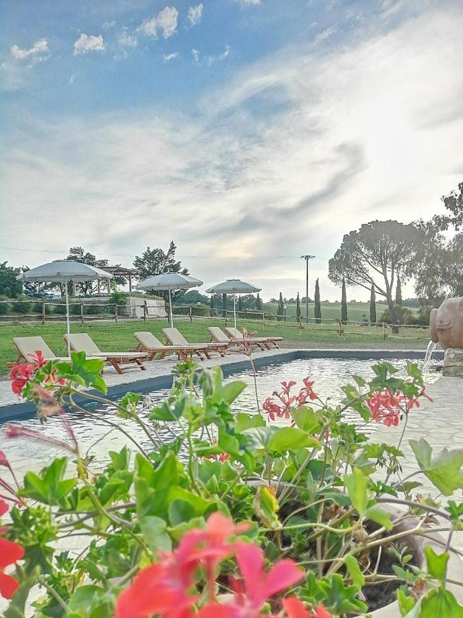 Wine Resort Colsereno Montalcino Bagian luar foto