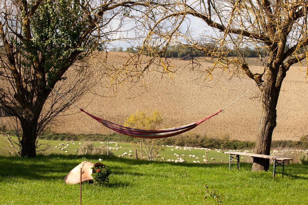 Wine Resort Colsereno Montalcino Bagian luar foto