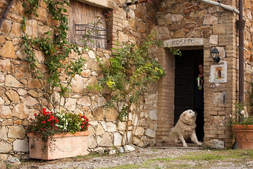 Wine Resort Colsereno Montalcino Bagian luar foto