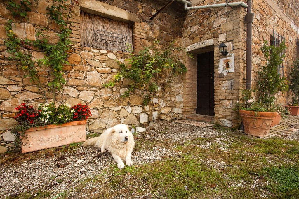 Wine Resort Colsereno Montalcino Bagian luar foto