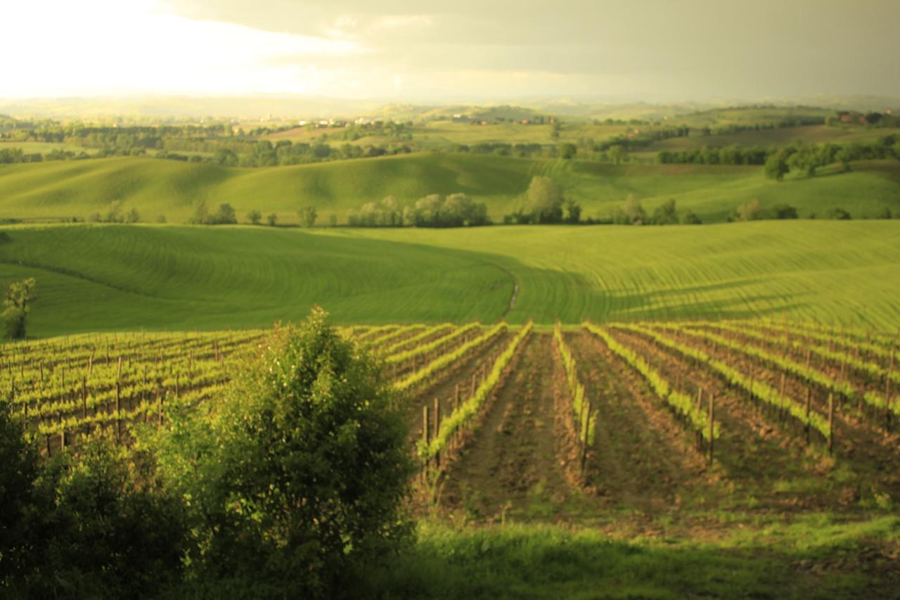 Wine Resort Colsereno Montalcino Bagian luar foto