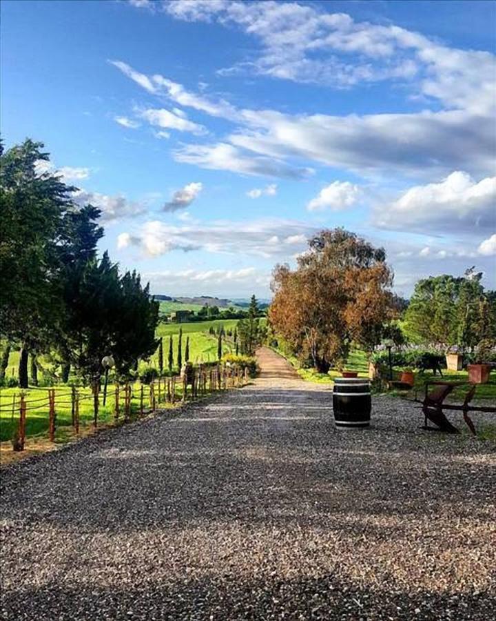Wine Resort Colsereno Montalcino Bagian luar foto