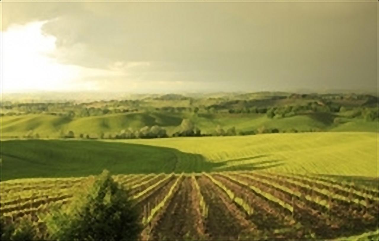 Wine Resort Colsereno Montalcino Bagian luar foto