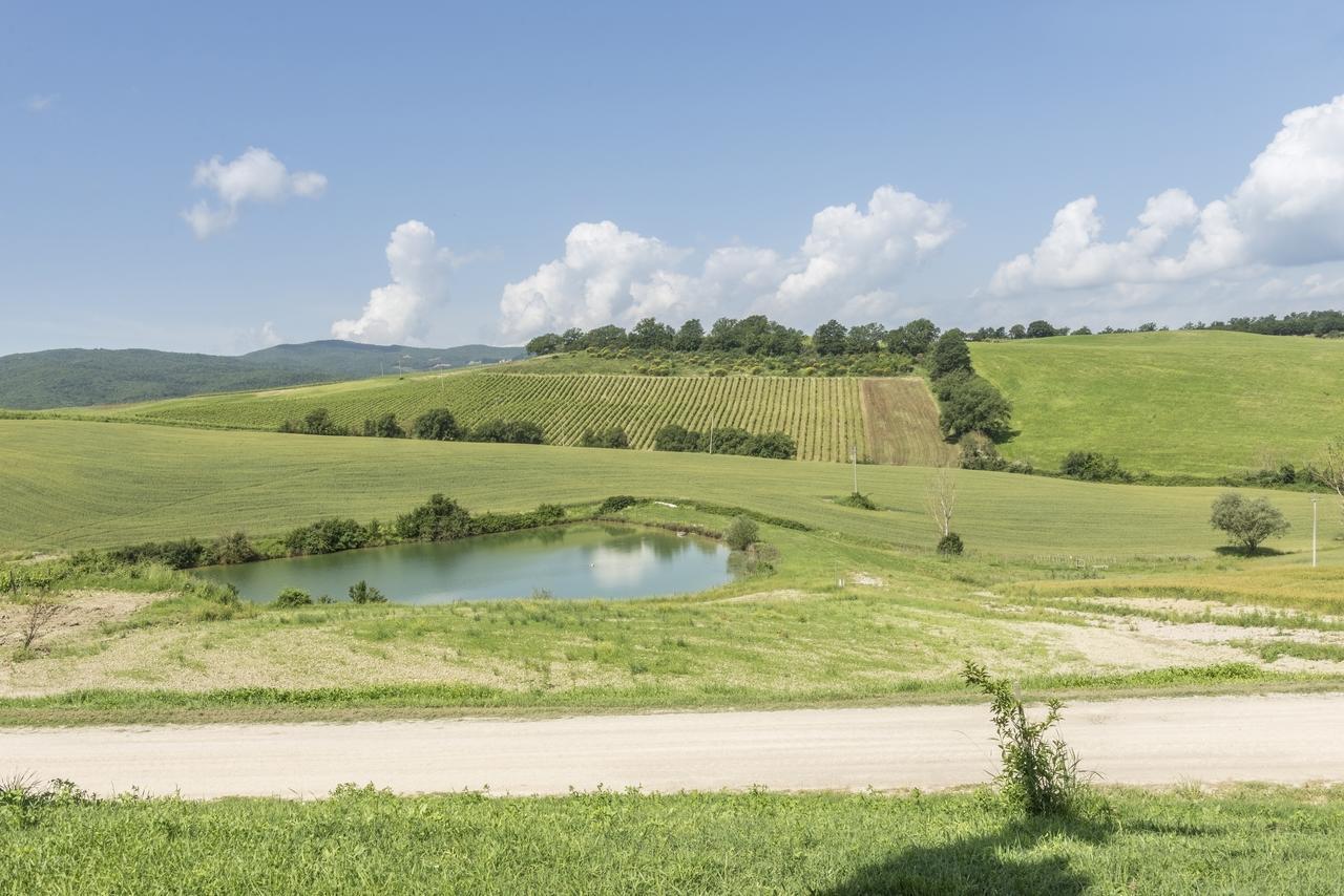 Wine Resort Colsereno Montalcino Bagian luar foto
