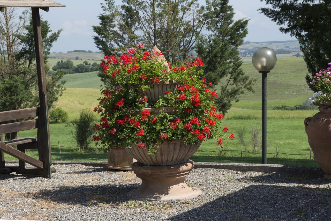 Wine Resort Colsereno Montalcino Bagian luar foto