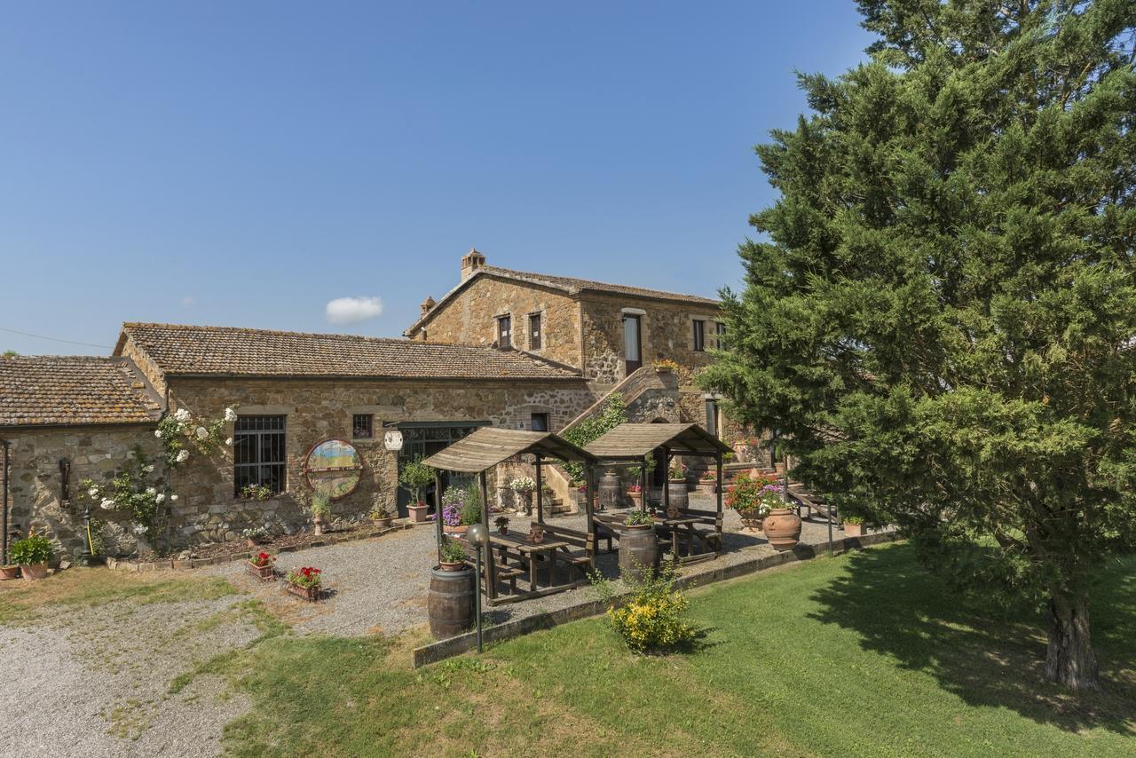 Wine Resort Colsereno Montalcino Bagian luar foto